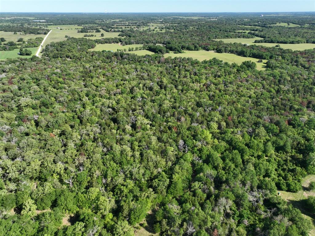 0000 Pfistner Road  , Franklin, Texas image 9