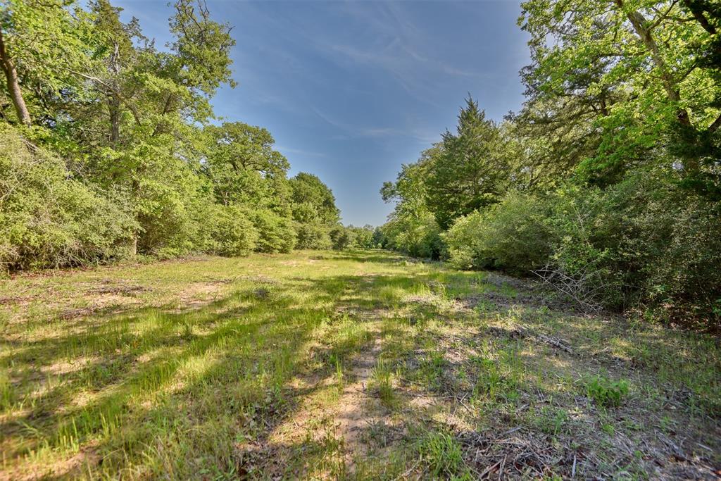 0000 Pfistner Road  , Franklin, Texas image 10