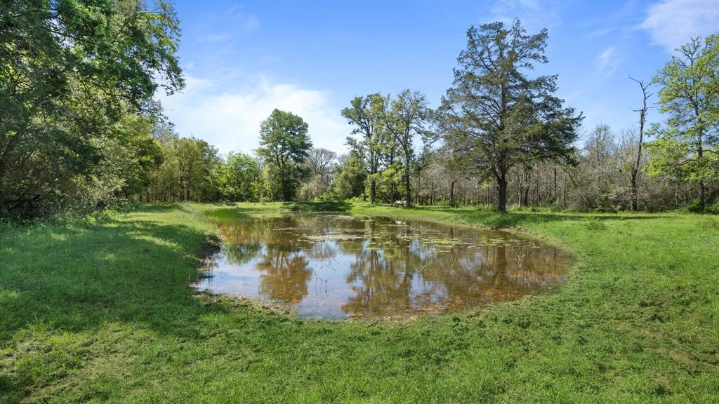 1076 S County Road 331  , Lexington, Texas image 35