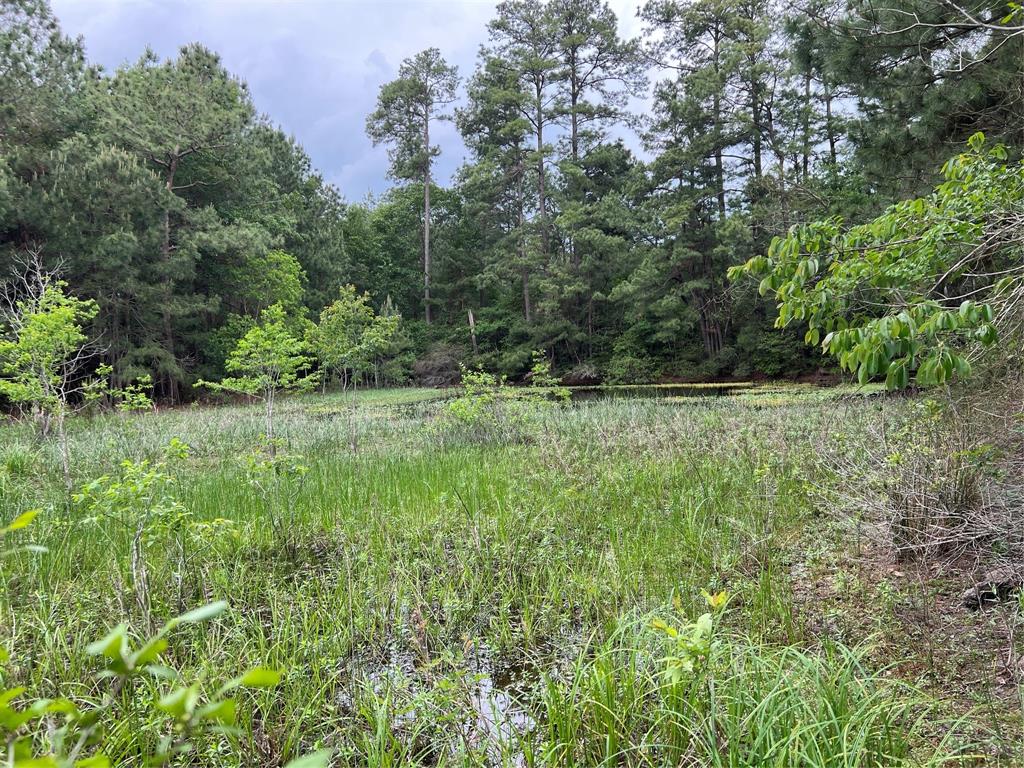 12.5 Acres for fronting English Rd in Northern Grimes county.  Heavily wooded with a small pond that could easily be enlarged. This Beautiful tract offers privacy and serenity with lots of wildlife,  build your dream home in the woods and be secluded from the neighbors. Mid-south power lines with the possibility of Fiber Optic connectivity, it seamlessly blends the charm of countryside living with modern conveniences. Light covenants TBD to protect from heavy Industrial or things that would detract from the serenity of the property. Property offers a sanctuary of greenery and tranquility, making it an ideal canvas for nature enthusiasts and outdoor lovers. Ideal for weekend getaways or temporary stays, RV camping is permitted, allowing residents to immerse themselves in the beauty of the surroundings.