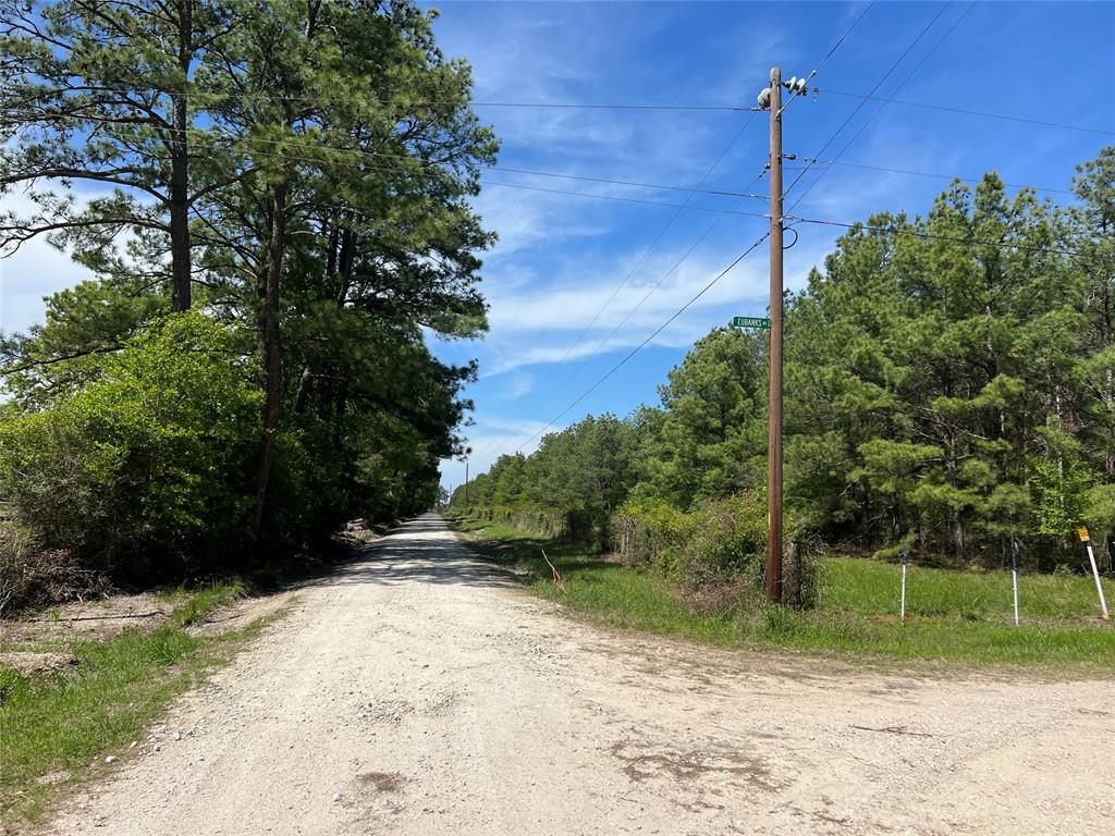 6 acre tract located on English Rd on Grimes County Line in Madisonville ISD.Â Â With Mid-south power lines bordering two sides and Fiber Optic connectivity, it seamlessly blends the charm of countryside living with modern conveniences. There are light covenants to protect from heavy Industrial or things that would detract from the serenity of the property. Enveloped by dense woodlands, the property offers a sanctuary of greenery and tranquility, making it an ideal canvas for nature enthusiasts and outdoor lovers. The property allows for the placement of one Mobile Home per tract. Ideal for weekend getaways or temporary stays, RV camping is permitted, allowing residents to immerse themselves in the beauty of the surroundings.