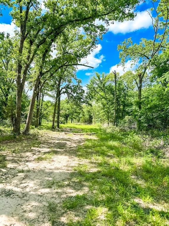 259 S Fm 80  , Teague, Texas image 7