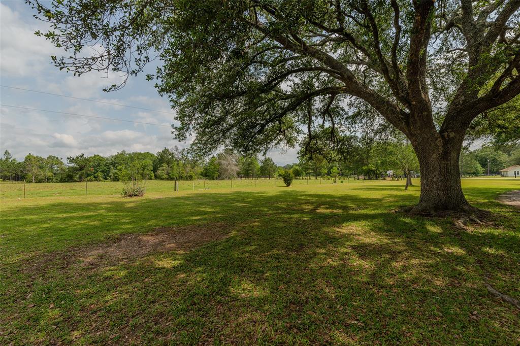 746 Cr 619  , Kirbyville, Texas image 35