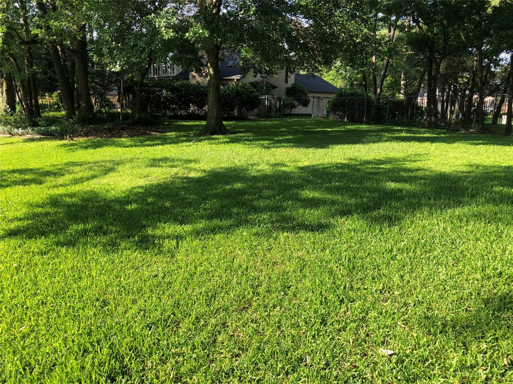 Another view from the corner back of the lot but facing towards the neighbor. (Photo taken from a prior spring.)