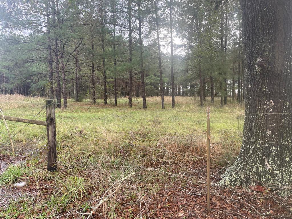 This beautiful 29 acre property has a couple of cleared acres near the road with the remainder of the property (approximately 26 acres) planted with Loblolly pines from Texas A&M.  These trees were planted in 2006 and should be ready for harvest. The property is totally fenced with five strand barbed wire and five post corners for extra strength. It contains two 20' gates ready for a horseshoe driveway for your custom home.  Located within 30-45 minutes of Cleveland US 59 and the 99 Loop out of Dayton. Country living away from the traffic of the big city of Houston as well as convenient to the Houston suburbs.