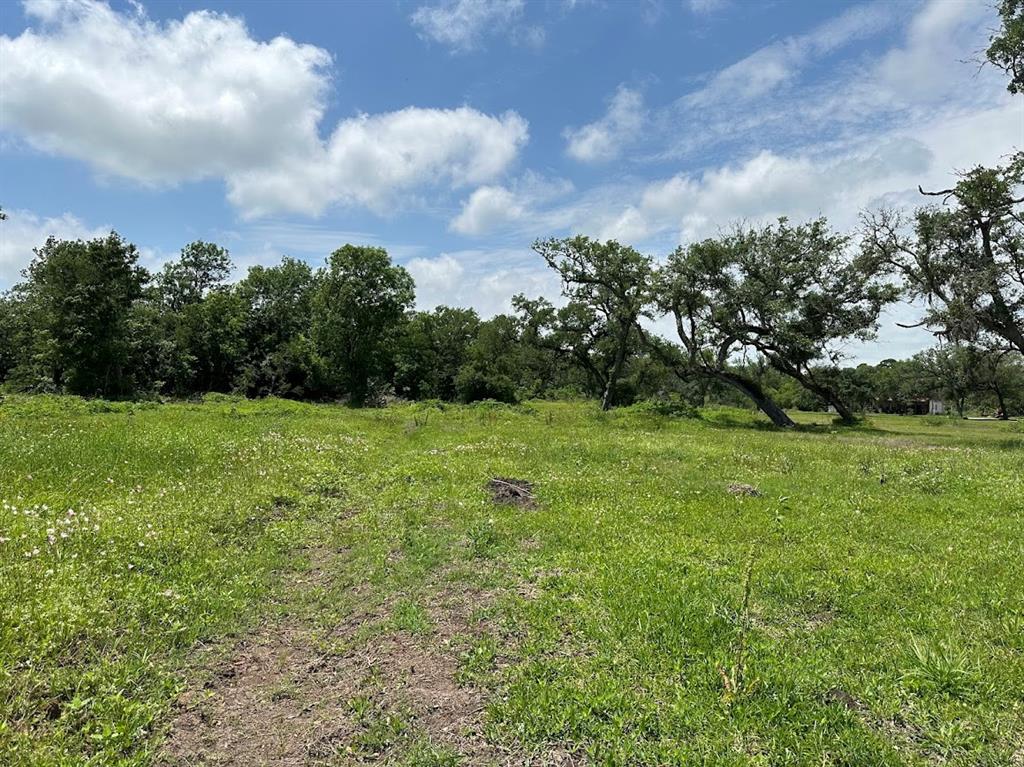 00 County Road 335  , Brazoria, Texas image 11