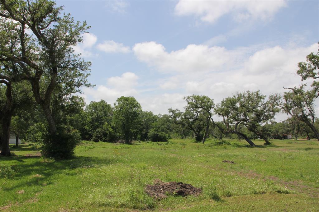 00 County Road 335  , Brazoria, Texas image 12