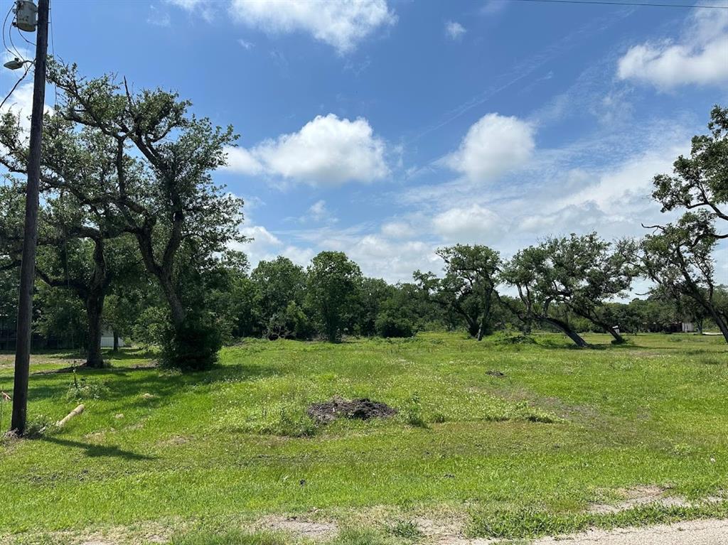 00 County Road 335  , Brazoria, Texas image 4