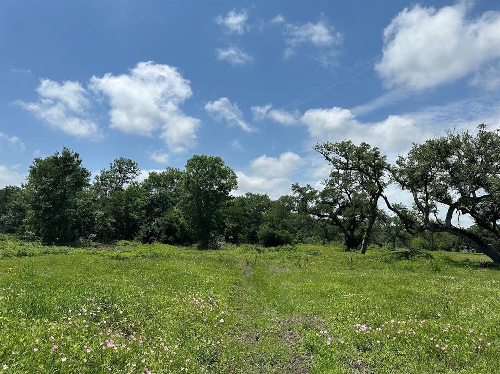 00 County Road 335  , Brazoria, Texas image 6