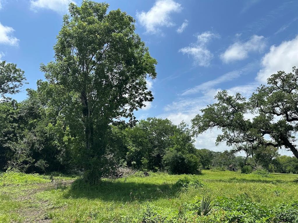 00 County Road 335  , Brazoria, Texas image 7