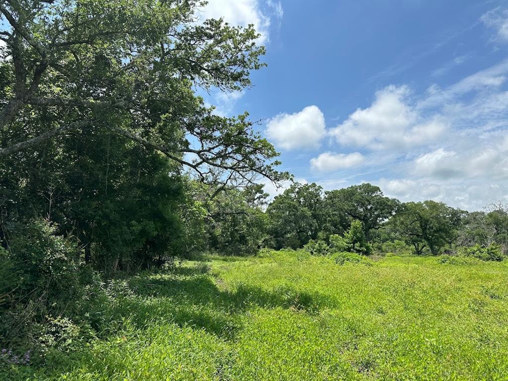 00 County Road 335  , Brazoria, Texas image 8