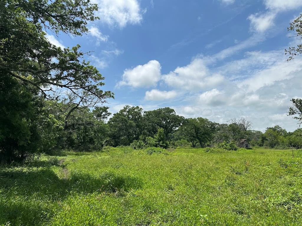 00 County Road 335  , Brazoria, Texas image 9