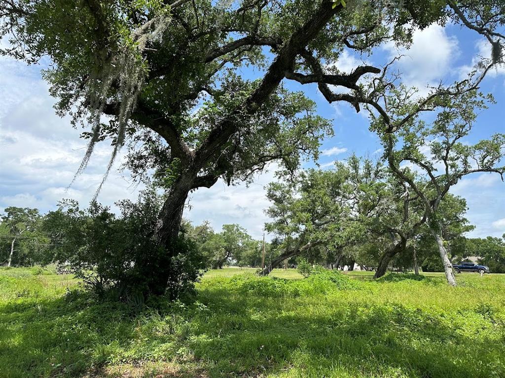 00 County Road 335  , Brazoria, Texas image 10