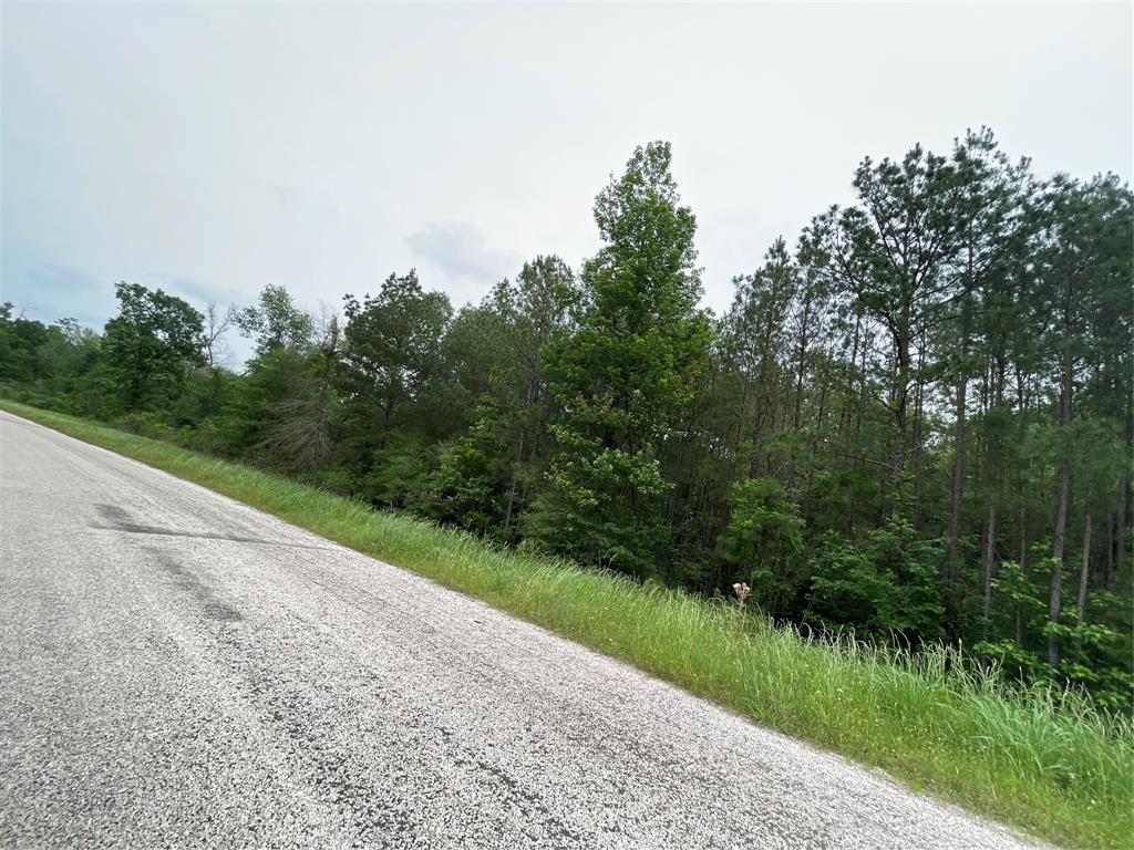 000-0 Hereford Trail , Huntsville, Texas image 8