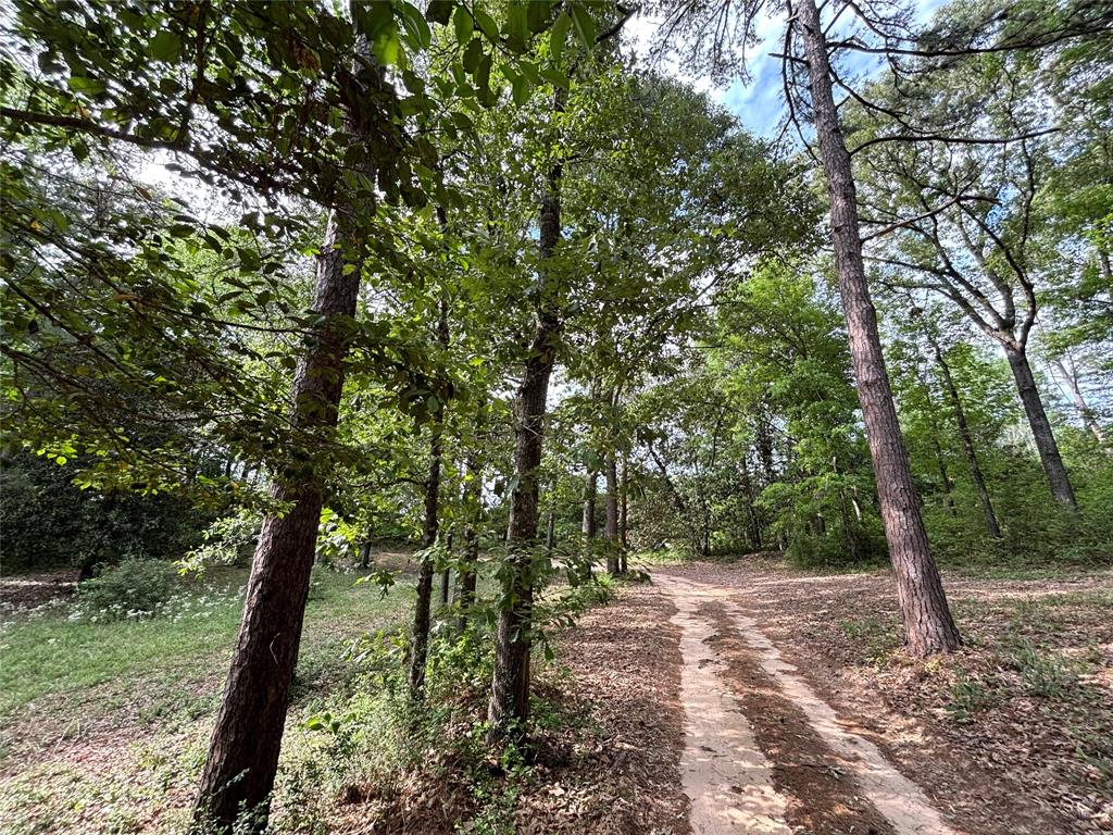 237 County Road 3523  , Woodville, Texas image 43