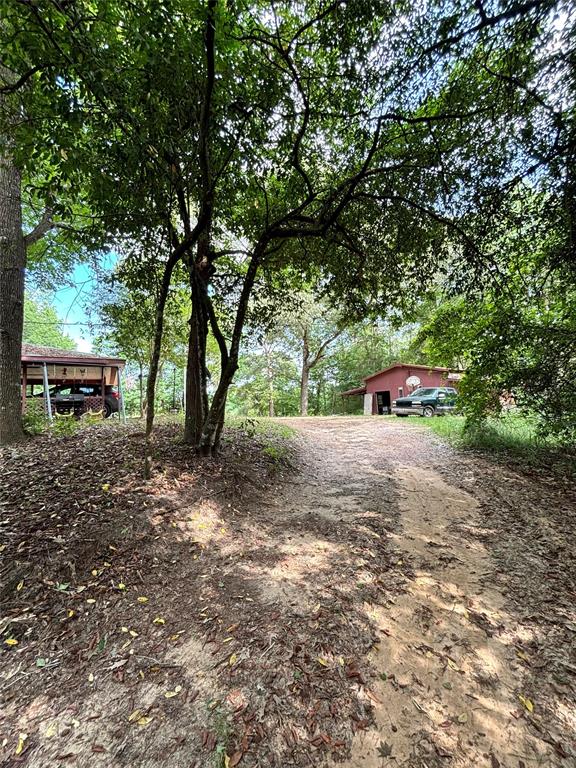 237 County Road 3523  , Woodville, Texas image 9