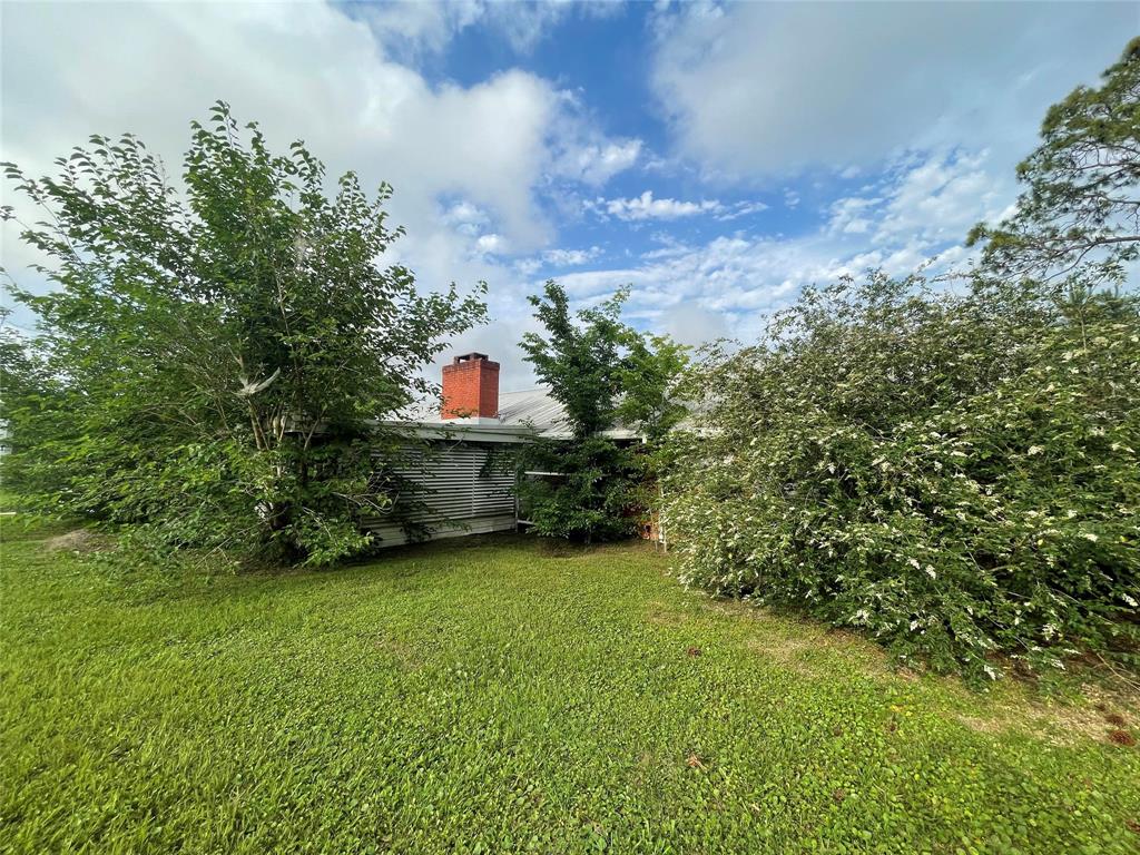 This home has several fruit trees