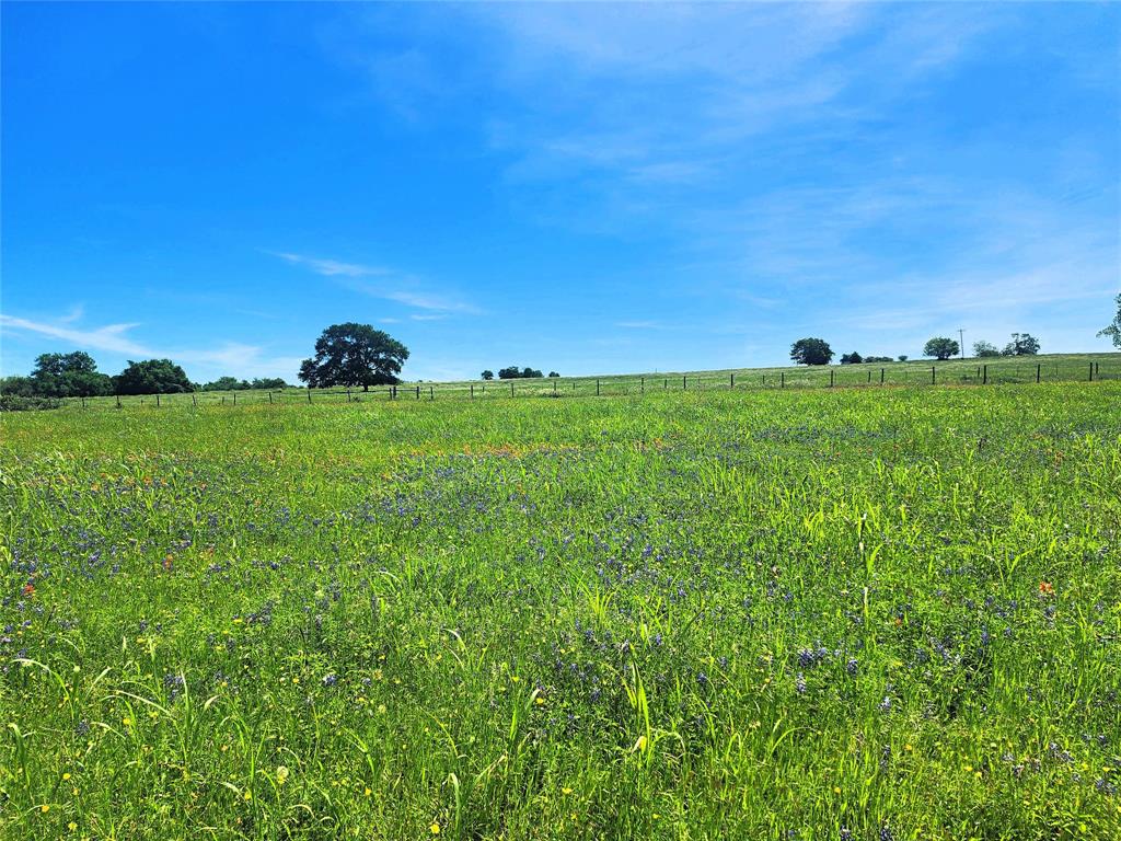 5530 Old Chappell Hill Road , Brenham, Texas image 12