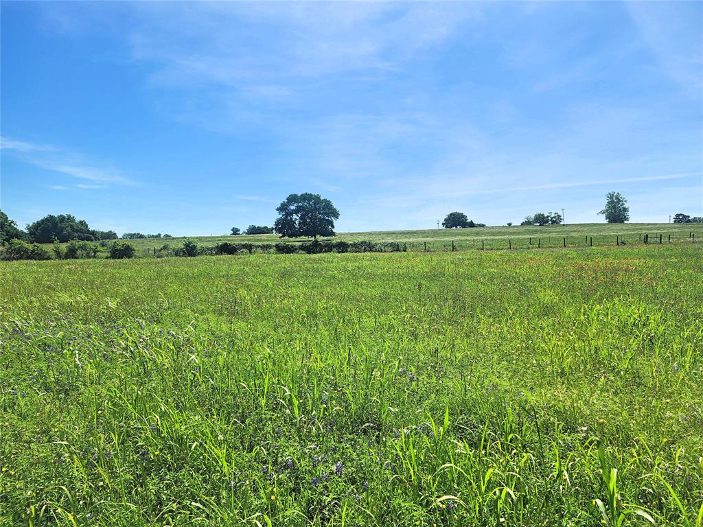 5530 Old Chappell Hill Road , Brenham, Texas image 15