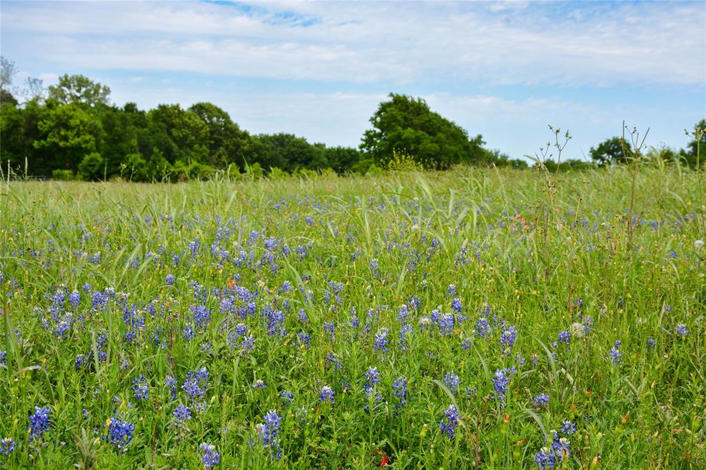 5530 Old Chappell Hill Road , Brenham, Texas image 5