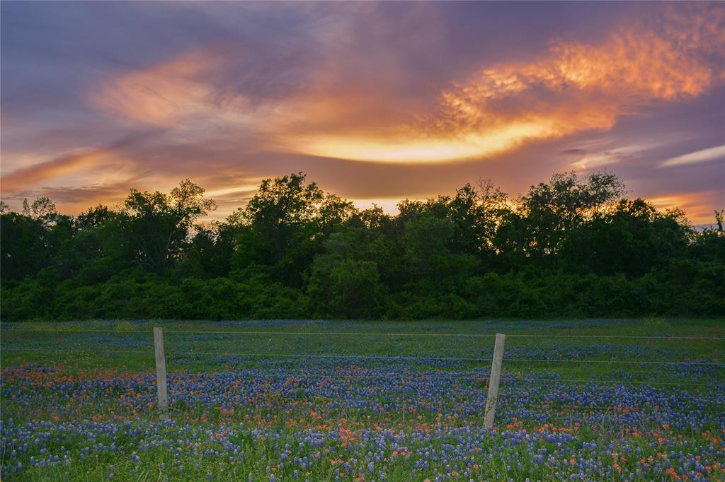 5530 Old Chappell Hill Road , Brenham, Texas image 6