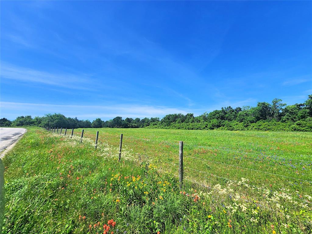 5530 Old Chappell Hill Road , Brenham, Texas image 8