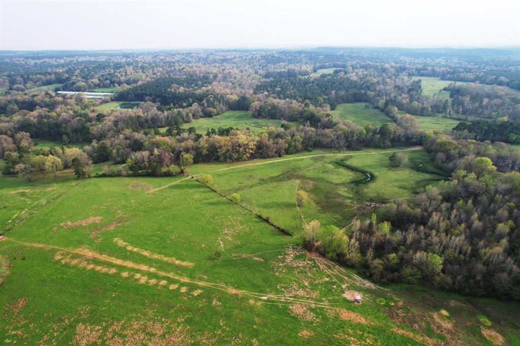 TBD County Road 3196  , Mount Enterprise, Texas image 4