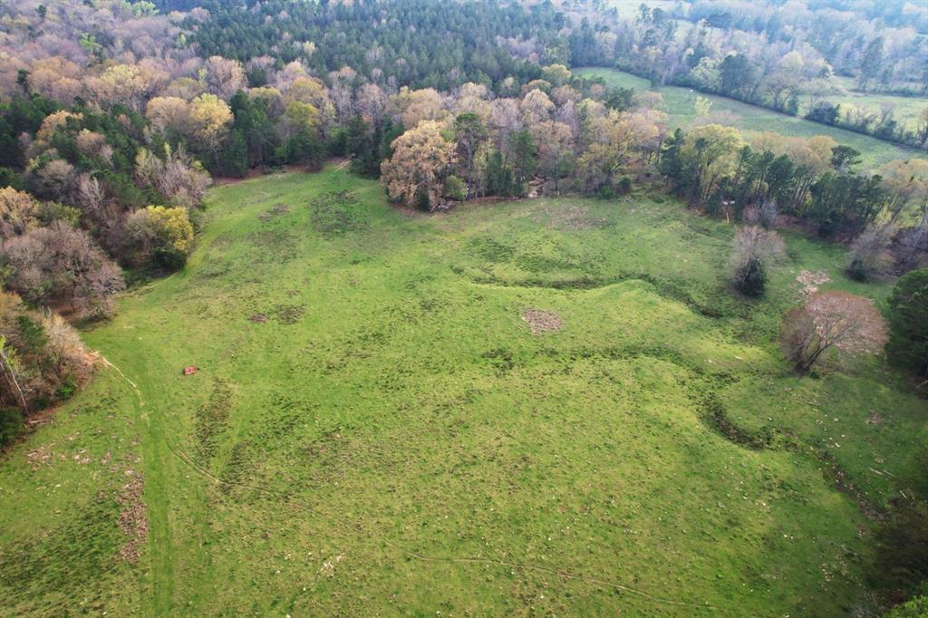 TBD County Road 3196  , Mount Enterprise, Texas image 8