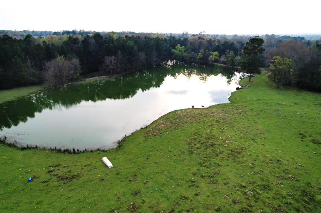 TBD County Road 3196  , Mount Enterprise, Texas image 10