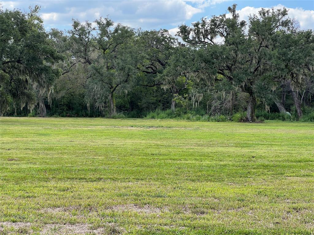 More beautiful trees on good flat land.