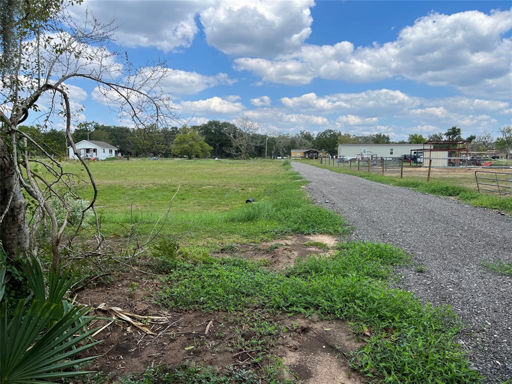 View from the longer driveway looking from the beginning of the back section towards CR 348. The neighbors have horses!