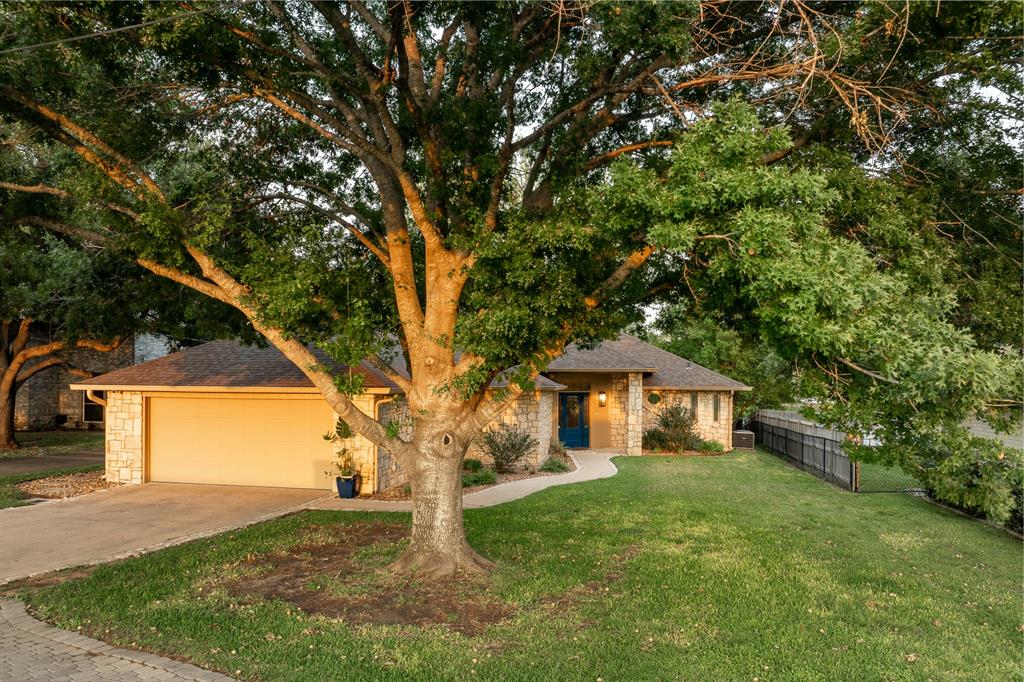 mature trees for shade