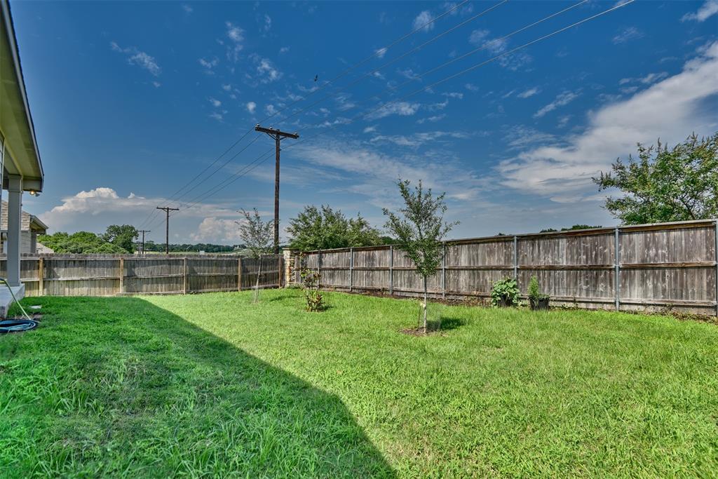 918 Wild Vine Pass , Brenham, Texas image 7