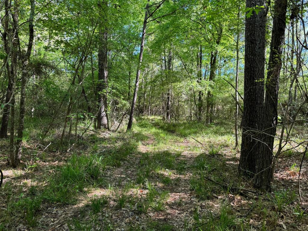 Looking for a great tract for a future homesite.  Check out this tract of land with over 750 feet of frontage on US Highway 287.  This tract is wooded with some cleared trails for easy viewing. You have the option of leaving it wooded or clearing and leaving the trees you desire.