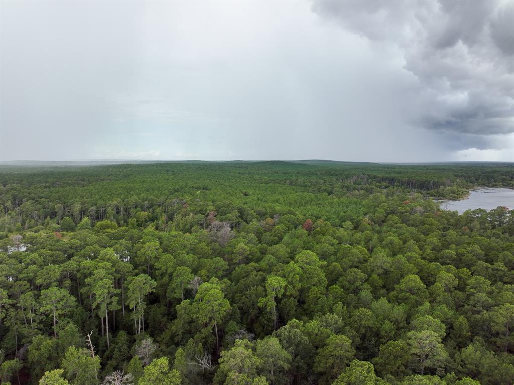 Off Fm 705  , Browndell, Texas image 21