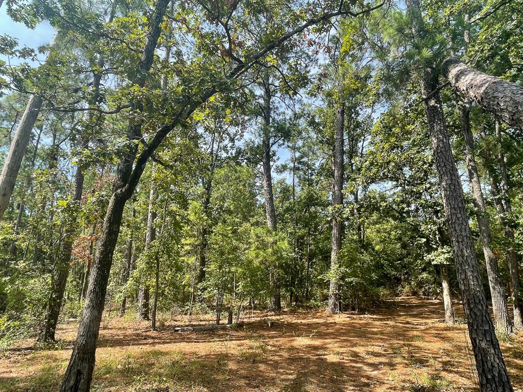 Off Fm 705  , Browndell, Texas image 5