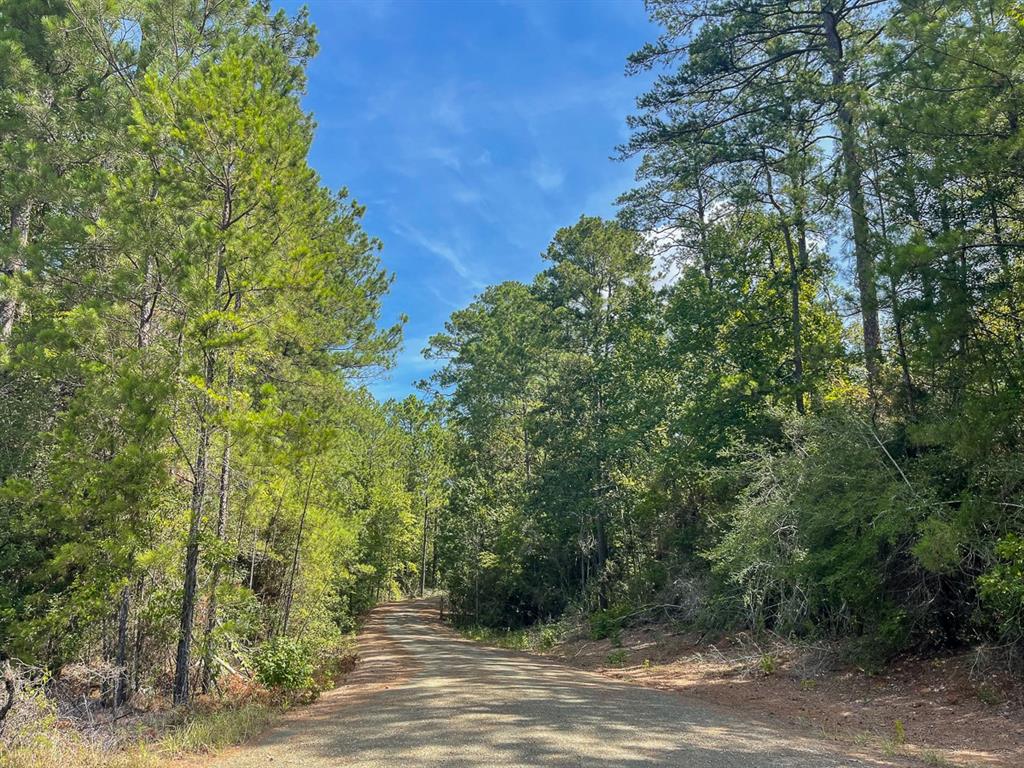 Off Fm 705  , Browndell, Texas image 8