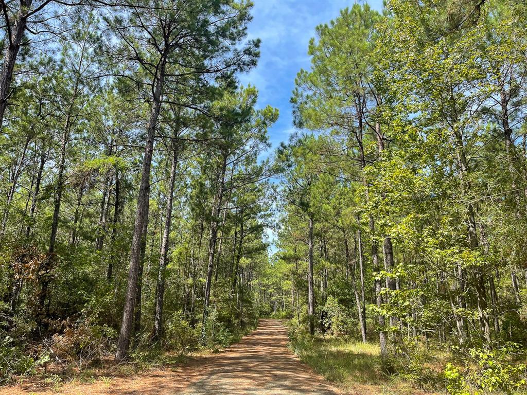 Off Fm 705  , Browndell, Texas image 9