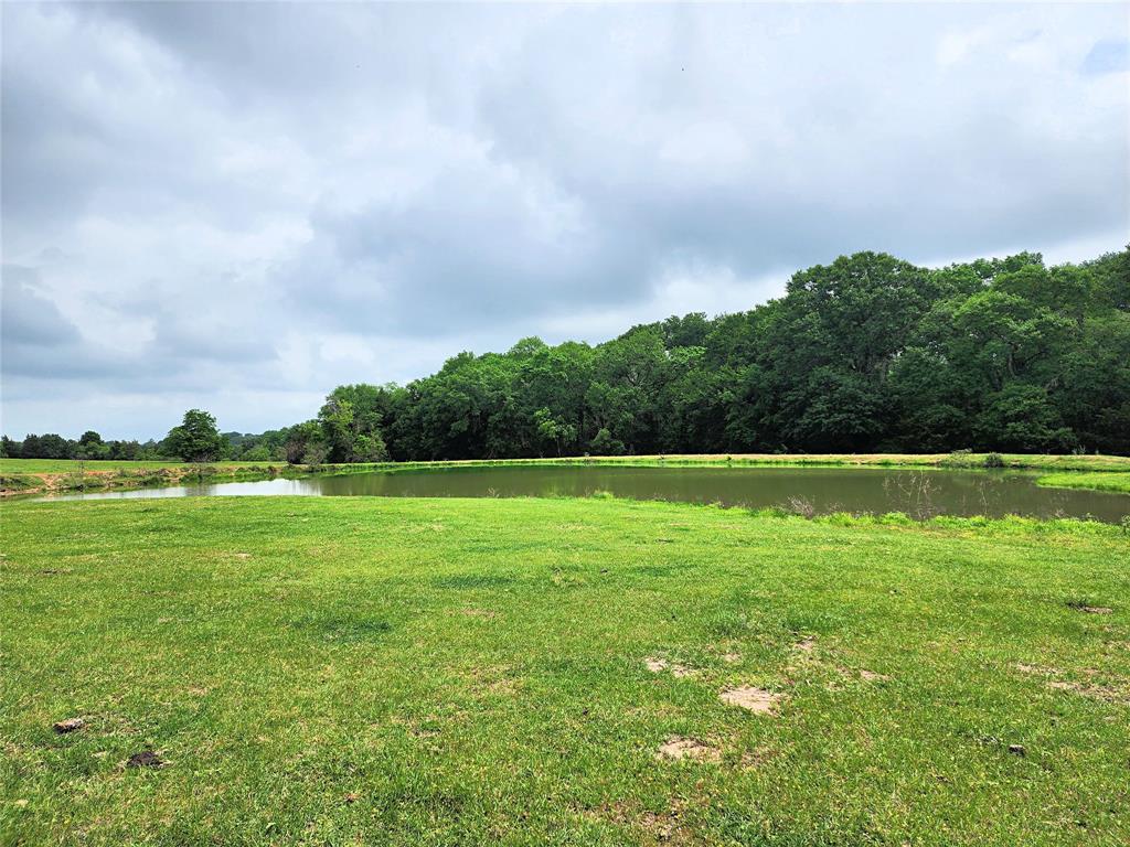 Approximately 21.5+/- acres just minutes from Brenham on Old Navasota Rd. Adjoining 21.5 +/- acres that also fronts on Hwy 105. Mostly wooded tracts, each has its own pond. Seller will dedicate an easement for the buyer to extend community water and electric down Old Navasota Rd, if needed. No floodplain. Wooded across the front and pasture on back side. Tract size to be determined by new survey and subject to buyer/seller approval. Restrictions to be placed on the tracts: No mobile homes, RV or Manufactured homes. No commercial businesses, No commercial livestock operations. Seller to reserve minerals/royalties and waive surface rights, no lease on property. Gates locked and need appointment to show, do not enter without appointment.