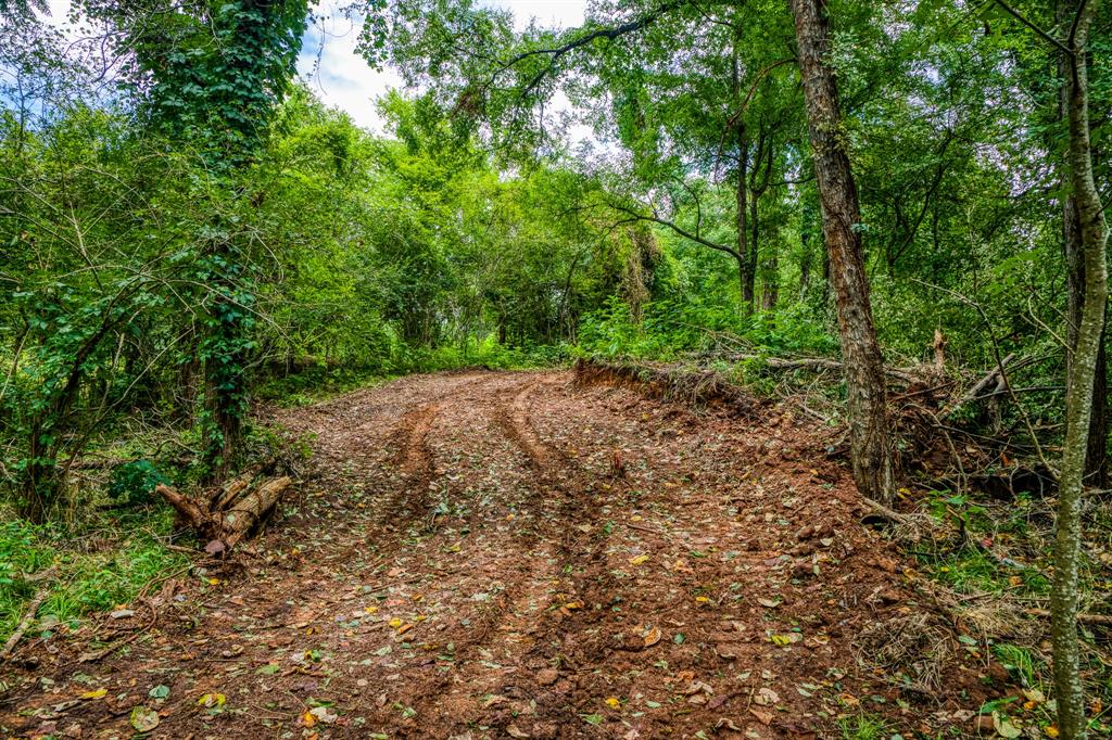 TBD (34.148 Acres) Pryor Road Esmt  , Brookshire, Texas image 11