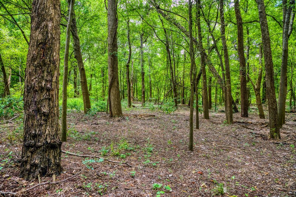 TBD (34.148 Acres) Pryor Road Esmt  , Brookshire, Texas image 15