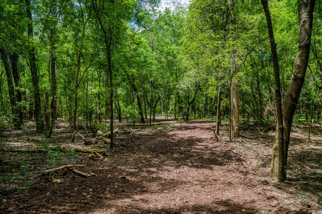 TBD (34.148 Acres) Pryor Road Esmt  , Brookshire, Texas image 20