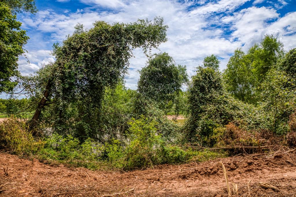 TBD (34.148 Acres) Pryor Road Esmt  , Brookshire, Texas image 21