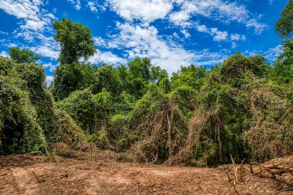 TBD (34.148 Acres) Pryor Road Esmt  , Brookshire, Texas image 22