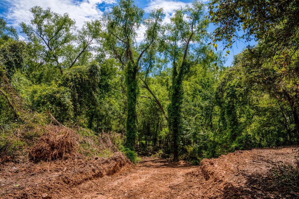 TBD (34.148 Acres) Pryor Road Esmt  , Brookshire, Texas image 24