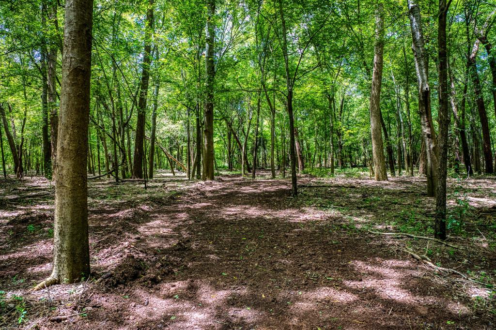 TBD (34.148 Acres) Pryor Road Esmt  , Brookshire, Texas image 26