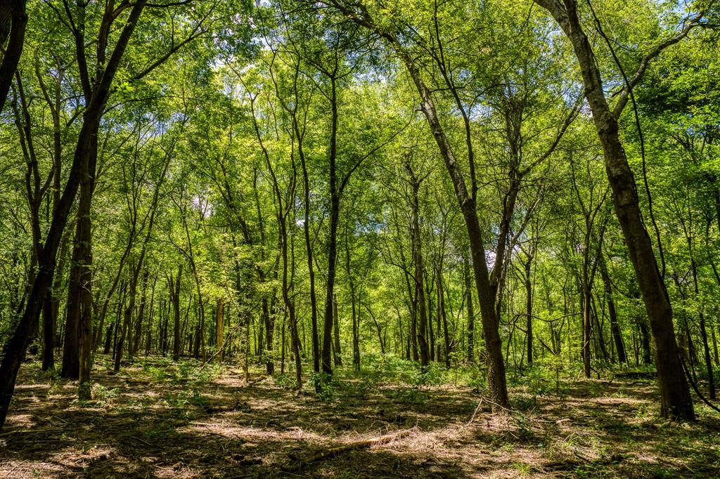 TBD (34.148 Acres) Pryor Road Esmt  , Brookshire, Texas image 27