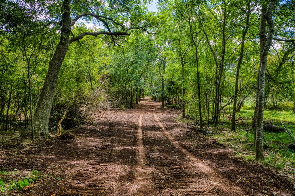 TBD (34.148 Acres) Pryor Road Esmt  , Brookshire, Texas image 28