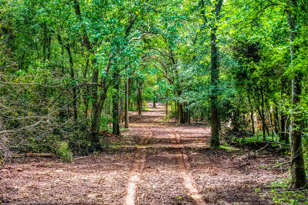 TBD (34.148 Acres) Pryor Road Esmt  , Brookshire, Texas image 29