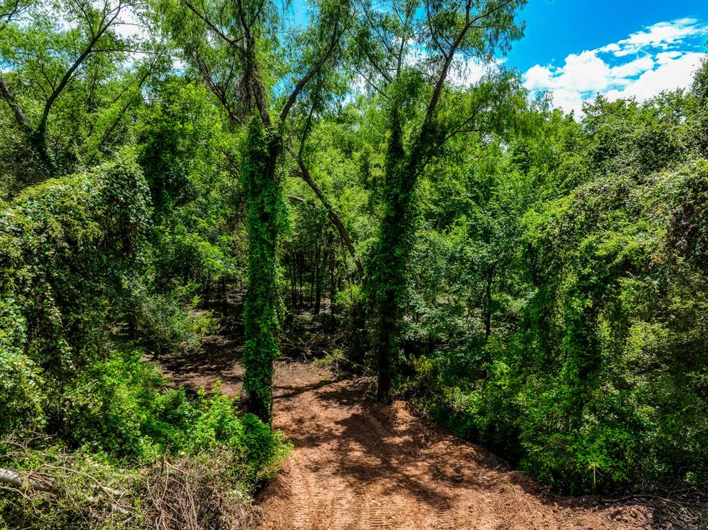 TBD (34.148 Acres) Pryor Road Esmt  , Brookshire, Texas image 30